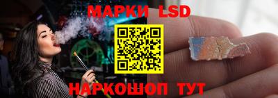 гидропоника Пушкино