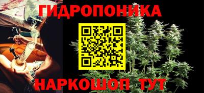 гидропоника Пушкино