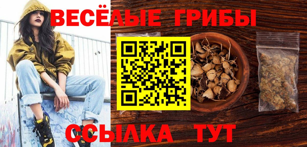Галлюциногенные грибы Magic Shrooms Оренбург
